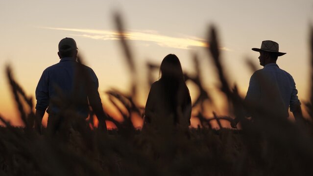 Harvest celebration wheat field, Farmers rejoicing sunset countryside, Unity joy among the wheat farmers, Embracing success golden fields wheat, Rural life community spirit farmland, Evening