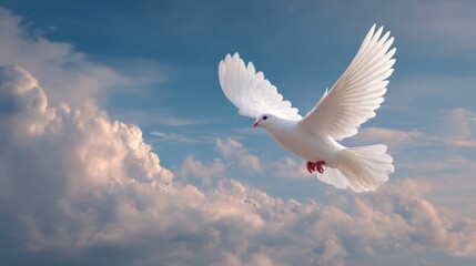 Obraz premium funeral sky background with white dove flying symbolizing freedom and spiritual release with clear copy space.