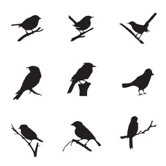 Bird Vector Image 2
