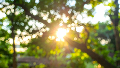 Bright Sunlight Through Green Leaves Bokeh Background