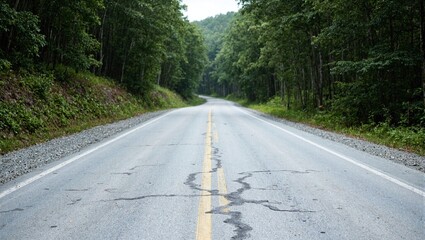 Fototapeta premium Winding road through forest