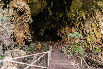 Boardwalk in Cueva de las Lechuzas (Owl Cave) near Tingo Maria town, Peru