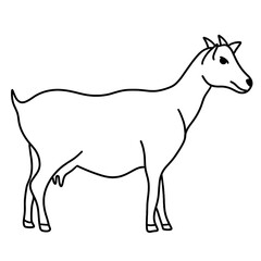 vector illustration of a sheep