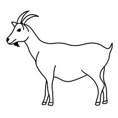 vector illustration of a sheep