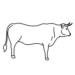 cow vector illustration