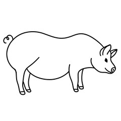 vector illustration of a pig