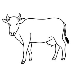 cow vector illustration