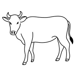 cow vector illustration