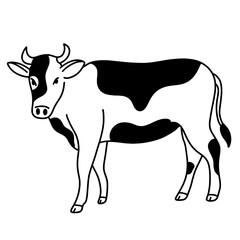 cow vector illustration