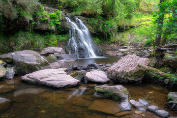 A serene Clamp Hole waterfall elegantly cascading over rugged rocks within a vibrant green forest, perfectly capturing the stunning beauty of natures pure tranquility, Slieve Bloom Mountains, Ireland