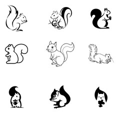 Squirrel vector  logo 5