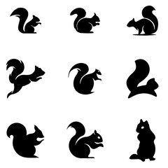 Squirrel vector   logo2
