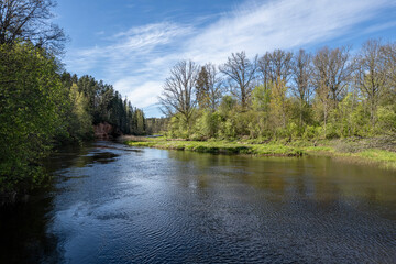 Fototapeta premium View to the river Salaca from high sandstone cliff in Skanaiskalns Nature park in May in Mazsalaca in Latvia