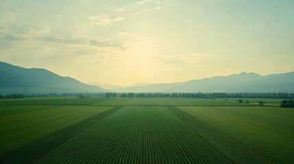 Obraz premium Aerial view of vast farmland with green crops divided into neat plots, symbolizing land leasing contracts and sustainable agriculture. Agricultural business concept.