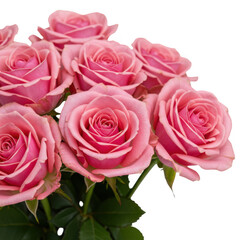 Pink roses bouquet closeup isolated on transparent background