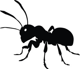 Ant silhouette icon vector flat design on white background.