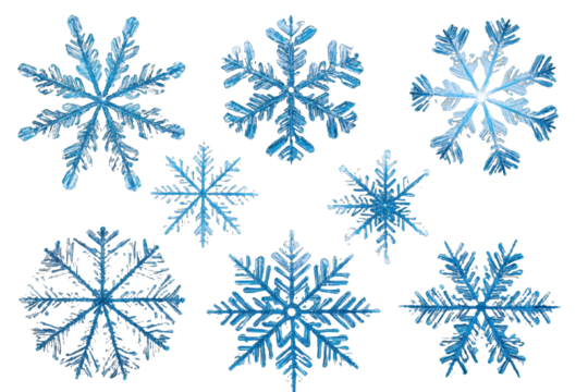 [Transparent Background PNG]Beautiful Snowflake Patterns on White Background