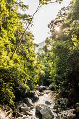 Stream near Catarata Santa Carmen waterfall near Tingo Maria, Peru
