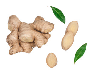Ginger root isolated on a white background, top view