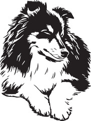 sleeping Sheltie dog