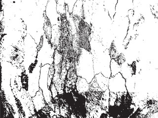 Obraz premium Abstract Black and White Tree Bark Silhouette Texture