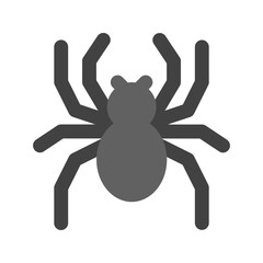 spider flat icon