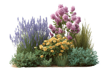 [Transparent Background PNG]Colorful Flowerbeds with Lavender and Hydrangeas