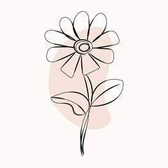 Elegant Minimalist Line Art Flower Drawing with Blush Pink Background