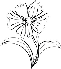 Elegant Line Art Drawing of a Single Flower with Leaves