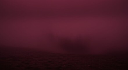 Fototapeta premium A Mysterious Foggy Atmosphere