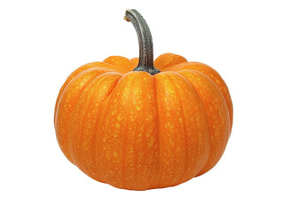 [Transparent Background PNG]Single Orange Pumpkin on White Background