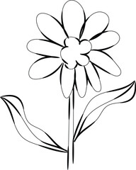 Simple Line Drawing of a Single Daisy Flower with Leaves