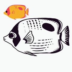 Two Tropical Fish Illustration: Black and White Butterflyfish with Orange Fish