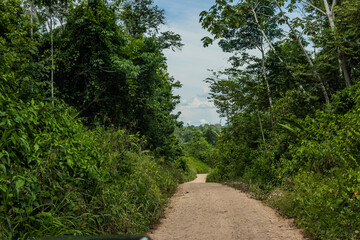 Unpaved road in the Amazon forest of Huanuco region near Santa Rosa de Yanayacu village, Peru