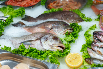 Fresh seafood on ice displayed at a market in a coastal city showcasing a variety of fish and shellfish for sale