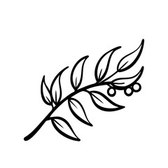 Obraz premium hand drawn sketch botanical branch Outline Icon