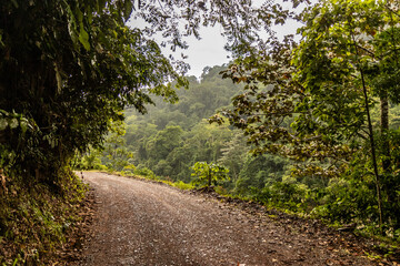 Unpaved 5NA road between Codo de Pozuzo and Pozuzo in Pozuzo river valley, Peru