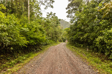 Unpaved 5NA road between Codo de Pozuzo and Pozuzo in Pozuzo river valley, Peru