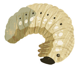 カブトムシのベクターイラスト