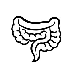 hand-drawn sketch human intestine illustration