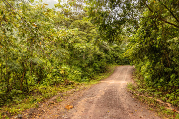 Obraz premium Unpaved 5NA road between Codo de Pozuzo and Pozuzo in Pozuzo river valley, Peru