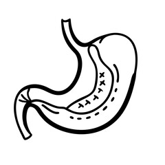 hand-drawn sketch human intestine illustration