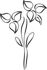 Simple Line Drawing of a Single Elegant Flower with Stem and Leaves