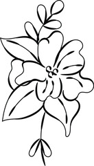 Elegant Line Art Floral Design Single Flower Botanical Illustration