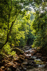 Small stream near Pozuzo village, Peru