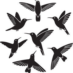 A curated set of minimalist hummingbird vector illustrations featuring sleek lines, simple shapes, and elegant designs ideal for modern projects.