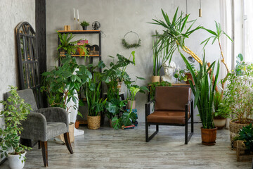 A fragment of the interior with a variety of indoor plants and plaster sculptures. Urban jungle concept. Biophilia design.