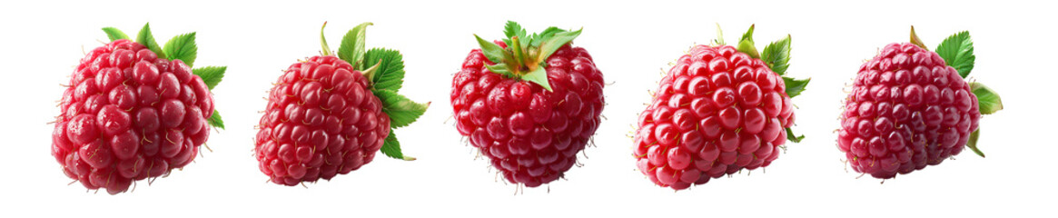 set of Raspberry Cut Out on Transparent Background