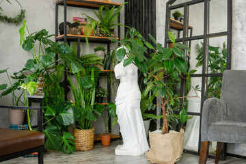 A fragment of the interior with a variety of indoor plants and plaster sculptures. Urban jungle concept. Biophilia design.