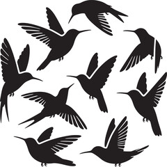 Obraz premium A curated set of minimalist hummingbird vector illustrations featuring sleek lines, simple shapes, and elegant designs ideal for modern projects.